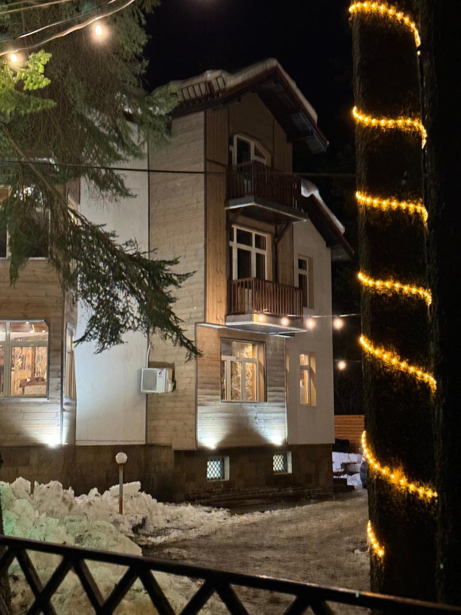 The Forest Villa בורובץ מראה חיצוני תמונה