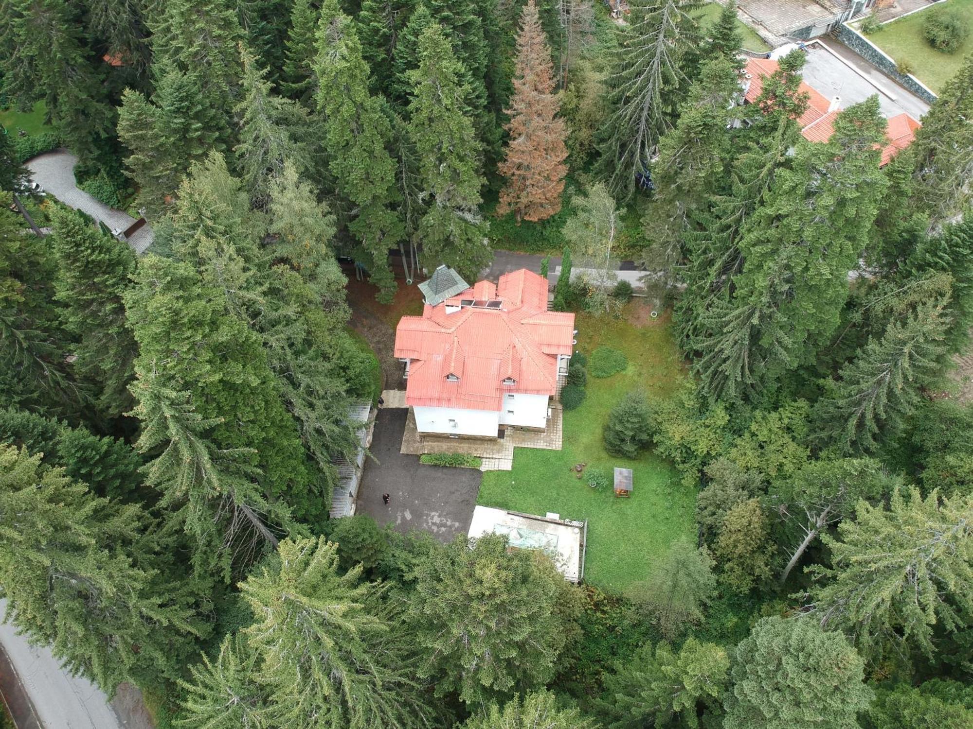 The Forest Villa בורובץ מראה חיצוני תמונה
