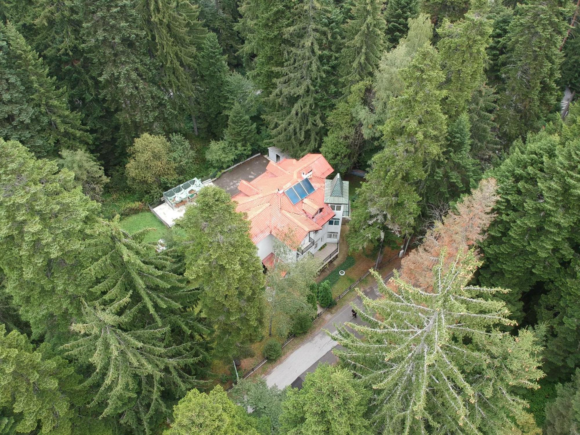 The Forest Villa בורובץ מראה חיצוני תמונה